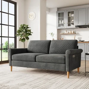65" Loveseat, Comfy Small Couch,Mid Century Modern Decor Loveseat Sofa,Couches for Living Room,2-Seat Sofa Living Room Furniture